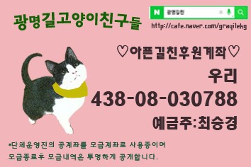 [사진주의] 청소년 남매 고양이가 처참한 몰골이 되어 구조됐어.. | 인스티즈