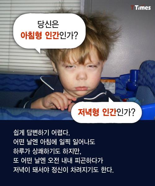 수면 패턴으로 알아보는 인간형 분류 | 인스티즈