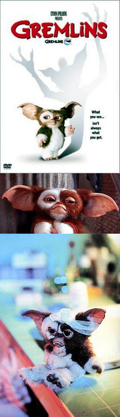 [공포잔인주의] 영화추천 | 인스티즈