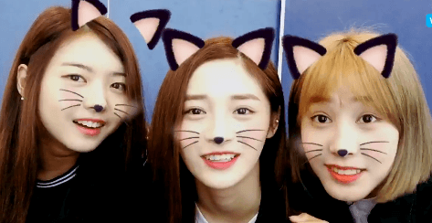 데뷔빼고 다했는데 데뷔를 도무지 안하는 걸그룹.. | 인스티즈