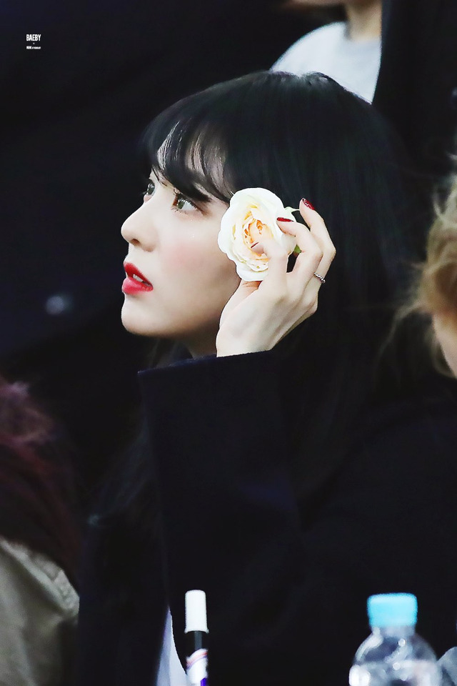 접붙이기 아이린.jpgif | 인스티즈