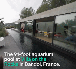 프랑스 고급 빌라 수영장 | 인스티즈