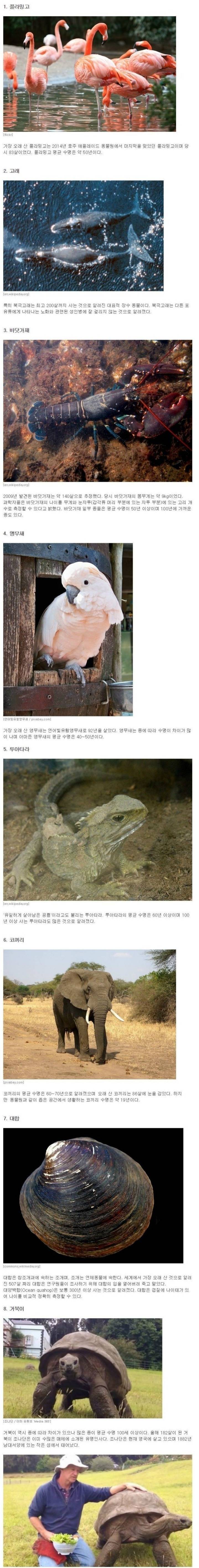 장수하는 동물들 | 인스티즈