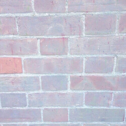 한 가수가 팬들에게 했던 말들 | 인스티즈