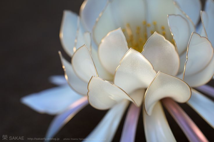아티스트 Sakae의 진짜같은 꽃모양 머리핀 | 인스티즈