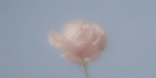 한 가수가 팬들에게 했던 말들 | 인스티즈