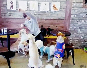 팬아저 모음 | 인스티즈