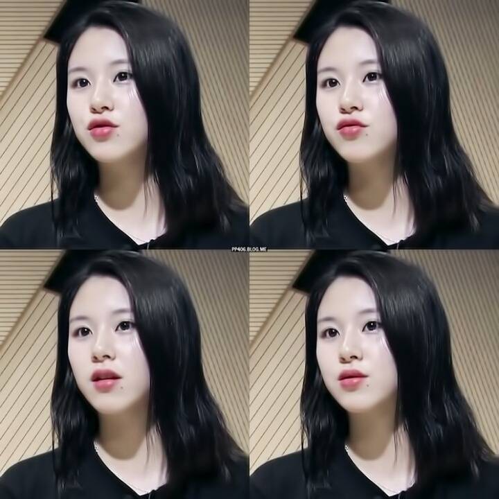 트와이스 멤버 중 가장 내 취향인 멤버 | 인스티즈