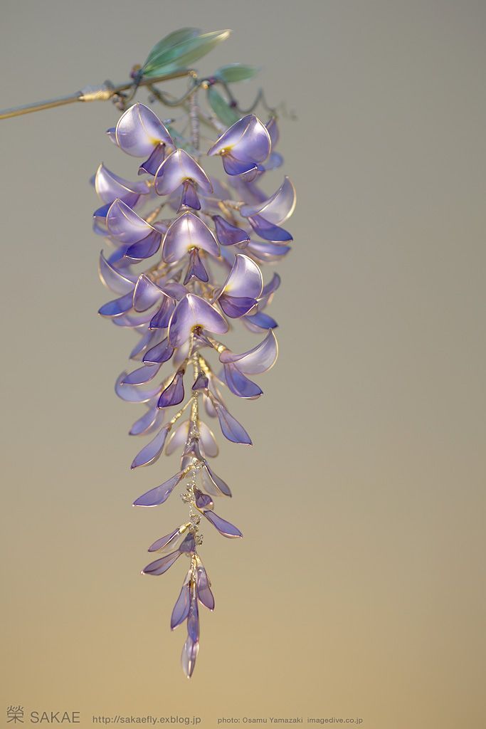 아티스트 Sakae의 진짜같은 꽃모양 머리핀 | 인스티즈