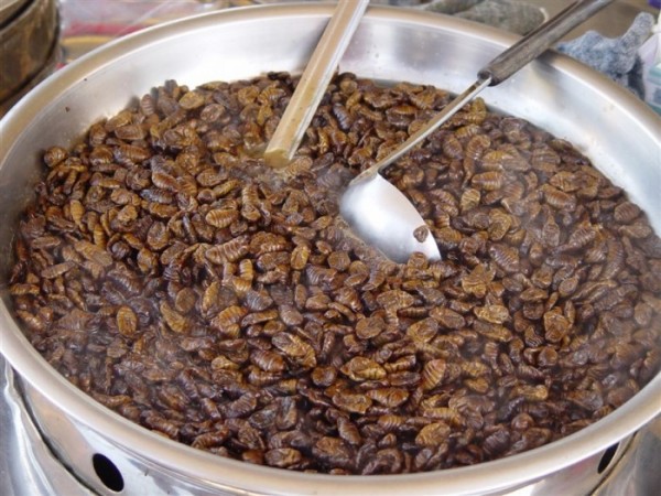 한국에서만 즐겨먹는다는 음식들....jpg | 인스티즈