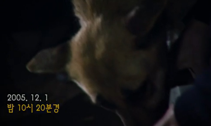 핏자국이 그려낸 범인의 몽타주, 200회의 공격과 0회의 방어 2 | 인스티즈