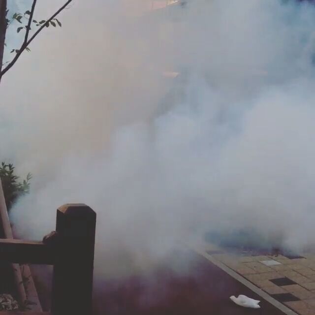 아직도 다니는 소독차.jpg | 인스티즈