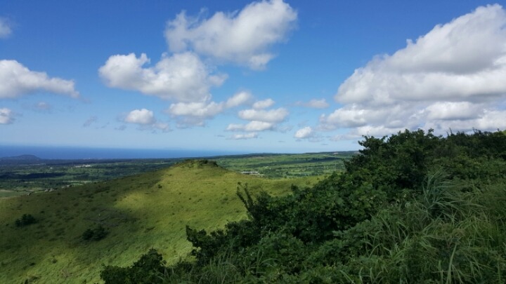 제주도 여행할때 무조건 가야하는곳 | 인스티즈