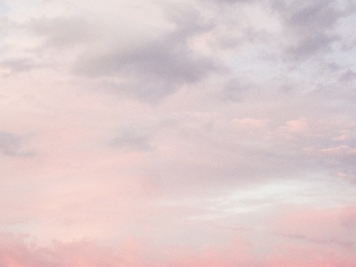 한 가수가 팬들에게 했던 말들 | 인스티즈