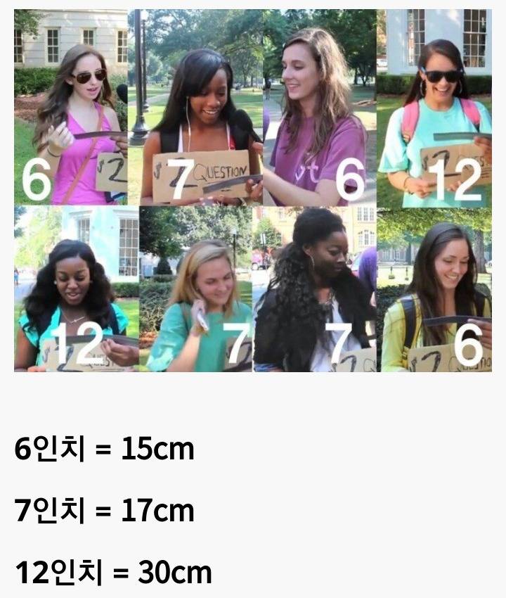 서양 여성들이 원하는 남성 사이즈 | 인스티즈