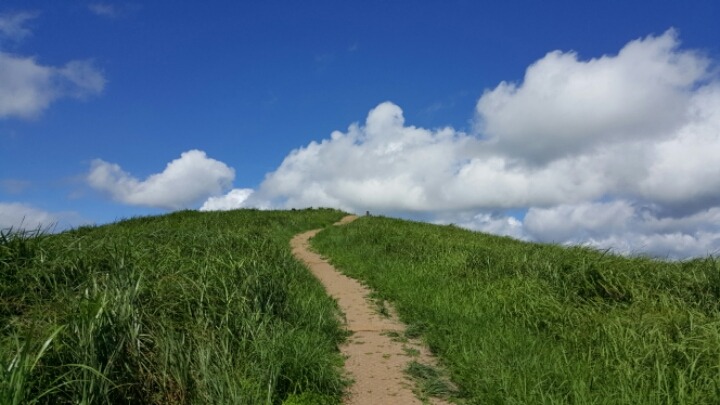 제주도 여행할때 무조건 가야하는곳 | 인스티즈