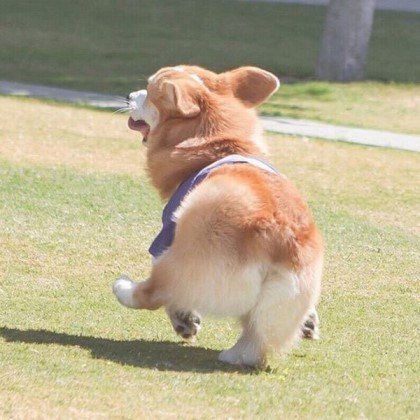 호불호 갈리는 엉덩이 모음 | 인스티즈