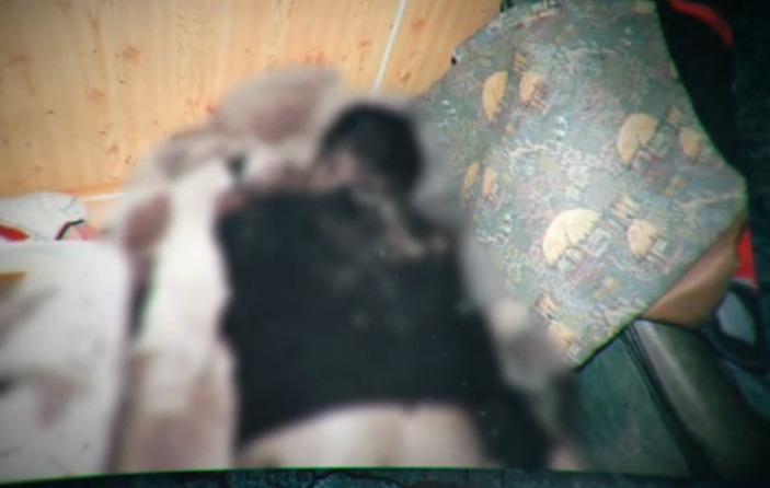 핏자국이 그려낸 범인의 몽타주, 200회의 공격과 0회의 방어 1 | 인스티즈