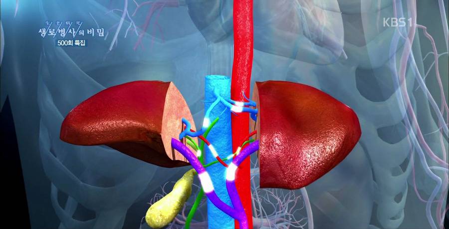 흔치 않은 대한민국의 외과의사.jpg | 인스티즈