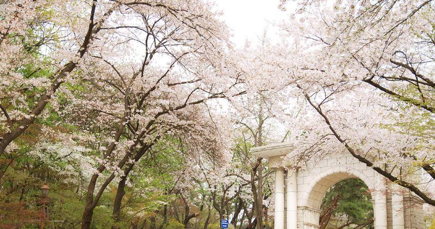 1학기 개강 VS 2학기 개강 // 여시들이 더 좋아하는 느낌은? | 인스티즈