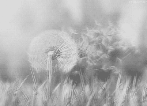  아무도 그립지 않다고 거짓말하면서 그 거짓말로 나는 나를 지킨다 | 인스티즈