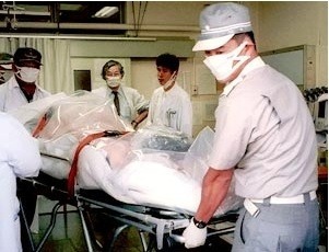 방사능의 무서움2 (시룸오사진 주의) | 인스티즈