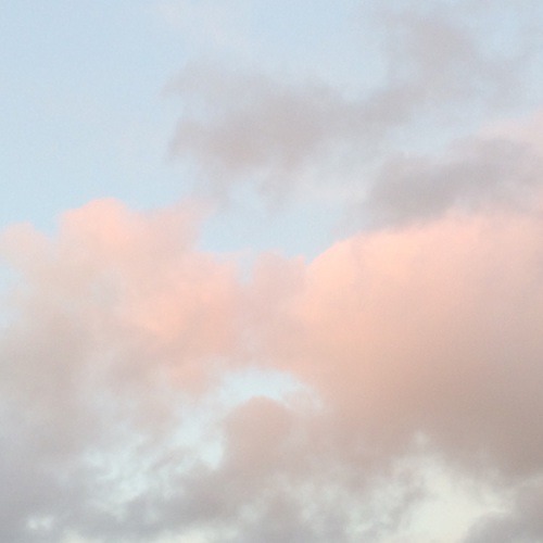 한 가수가 팬들에게 했던 말들 | 인스티즈