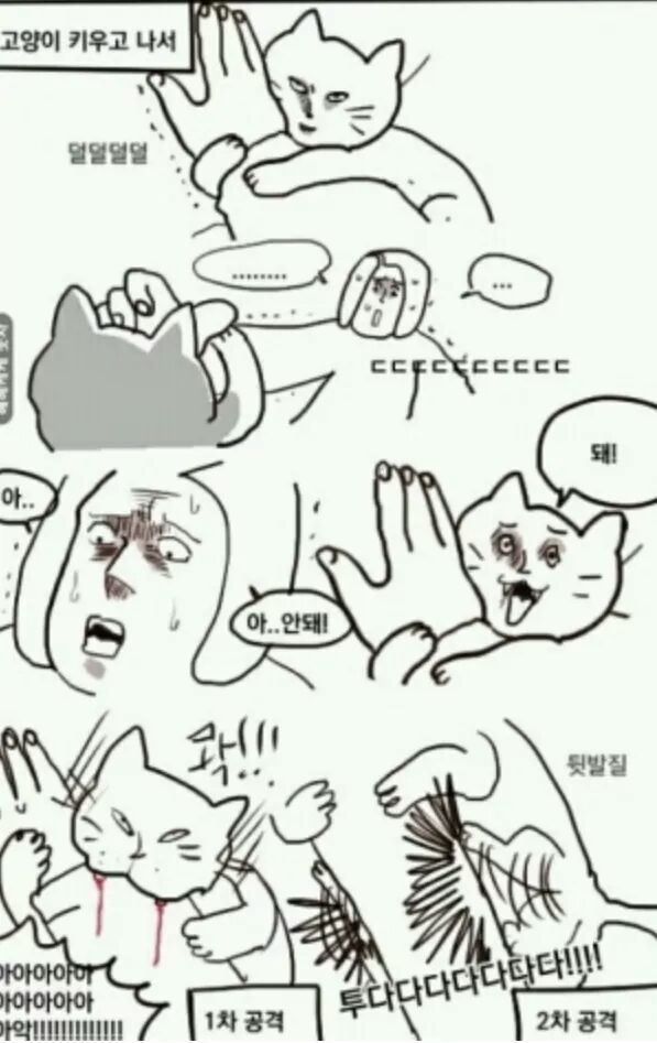 고양이 키우기 전과 키우고 나서의 차이.jpg | 인스티즈