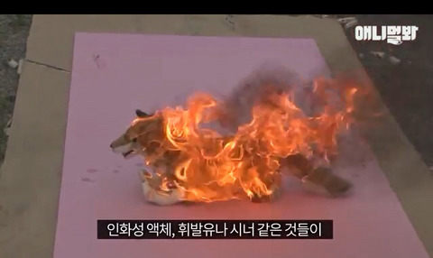 누가 고의로 불 질러 화상 입은 강아지 | 인스티즈