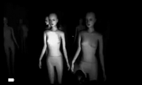  일상생활에서 자주 보이지만, 은근히 무서워하는 사람들이 많음 | 인스티즈