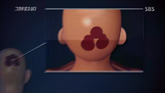 [그것이알고싶다] 두 얼굴의 여인 - 15년간의 거짓말 3 | 인스티즈