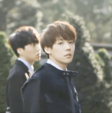 감수성 터지는 꽃말을 가진 꽃을 의인화 시켜봄.gif (feat.잘생긴 남자는 꽃이다) | 인스티즈