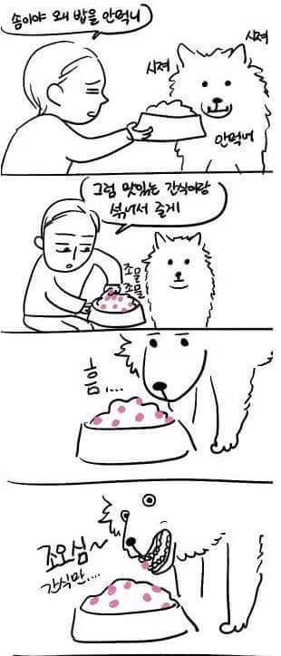 개 키우는 사람 공감97.5퍼 만화 | 인스티즈