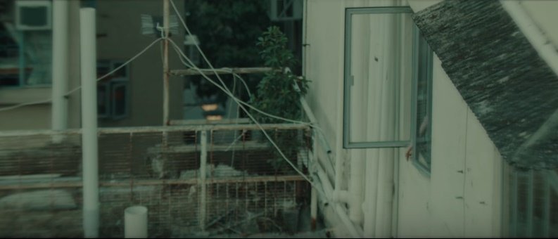 수지 뮤비가 오마주한 수많은 왕가위 영화 중 굳이 몸파는 여자 나오는 타락천사만 언급하는 이유가 뭘까? | 인스티즈