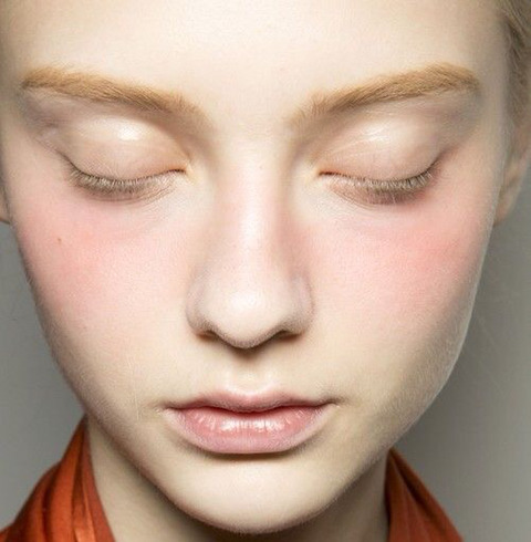 핑크블러셔 메이크업 모음 | 인스티즈