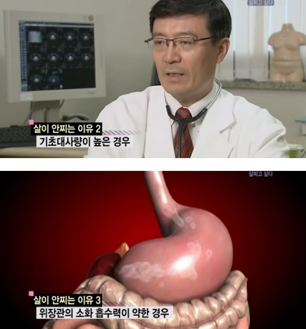 살이 찌고 싶은 사람들 | 인스티즈