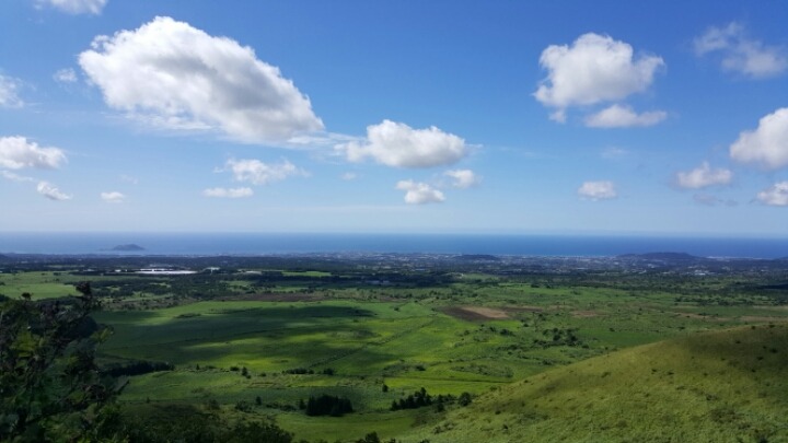제주도 여행할때 무조건 가야하는곳 | 인스티즈