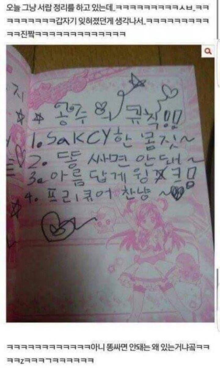 공주의 규칙 | 인스티즈