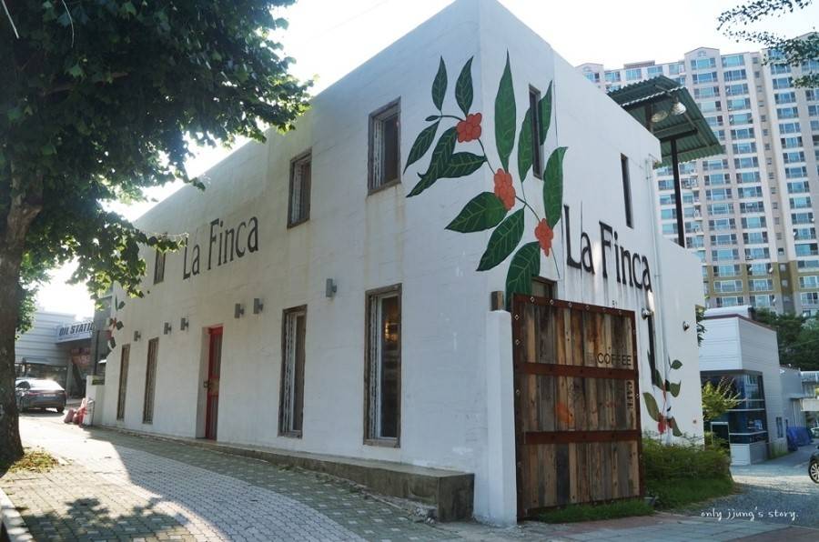 대구에서 전국구 프랜차이즈 카페가 다른 지역만큼 성공하지 못하는 이유.jpg | 인스티즈