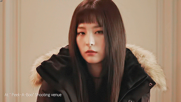 콜롬비아 패딩 모델이 된 레드벨벳.gif | 인스티즈