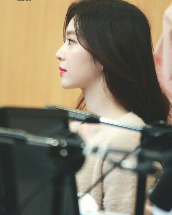 레드벨벳 아이린 | 인스티즈