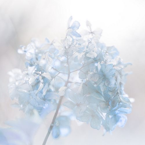 한 가수가 팬들에게 했던 말들 | 인스티즈