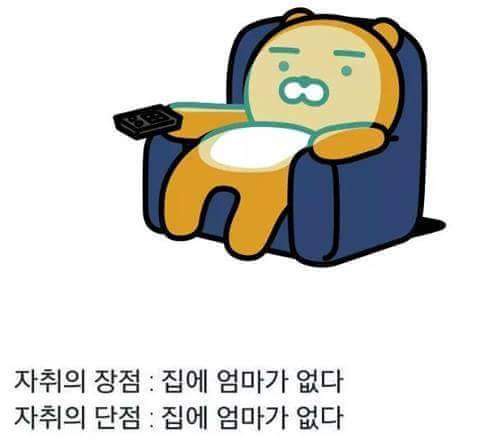 자취생의 장단점.JPG | 인스티즈