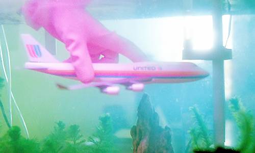 [영화] 중경삼림 (1994) | 인스티즈