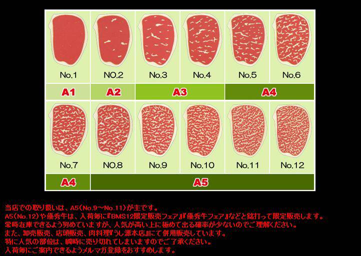 일본 소고기 등급 | 인스티즈