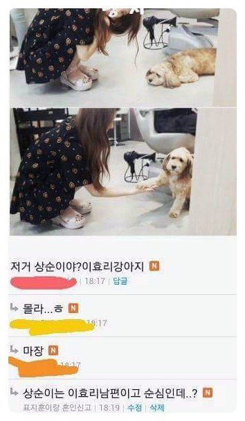 이효리강아지이름 | 인스티즈