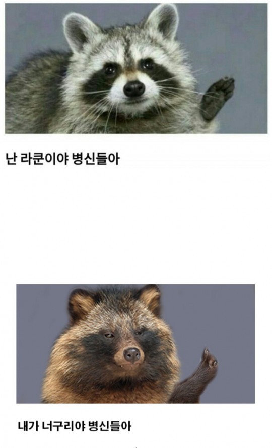 이거 다들 아십니까.jpg | 인스티즈