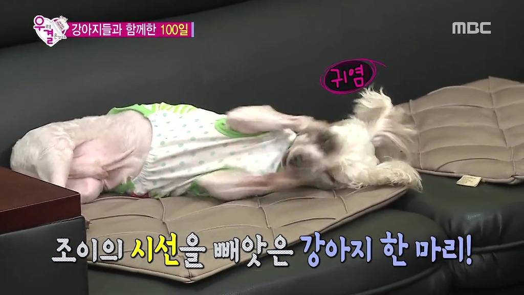 조이가 성격 좋아보인다는 반응이 많은 이유(feat.토요드라마).jpg | 인스티즈