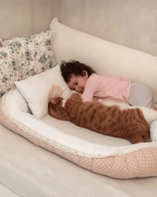 아기와 냥이.gif | 인스티즈