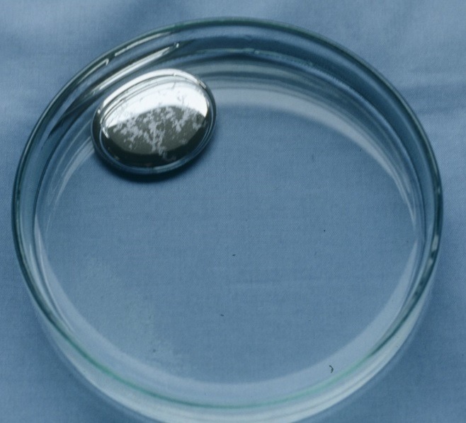 불로장생 | 인스티즈